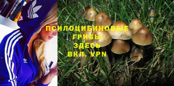 мяу мяу мука Дмитровск