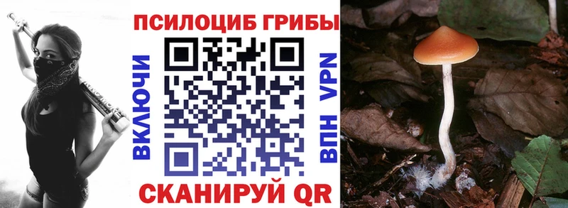 MEGA ссылка  Назрань  Псилоцибиновые грибы MAGIC MUSHROOMS  наркошоп 